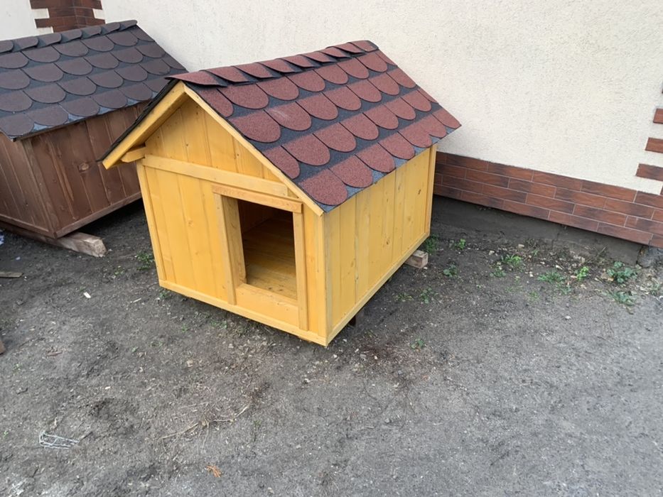 Średnia buda dla psa