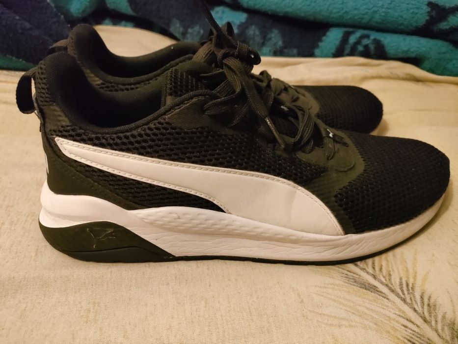 Puma.            .