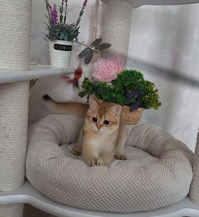 Очень целовательная девочка!