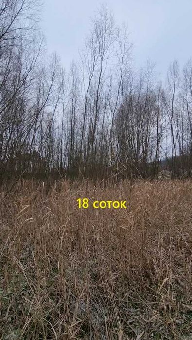 Нові Безрадичі,с/т Рута, 18 соток(9+9), озера,  Енергетик, Мар’янівка