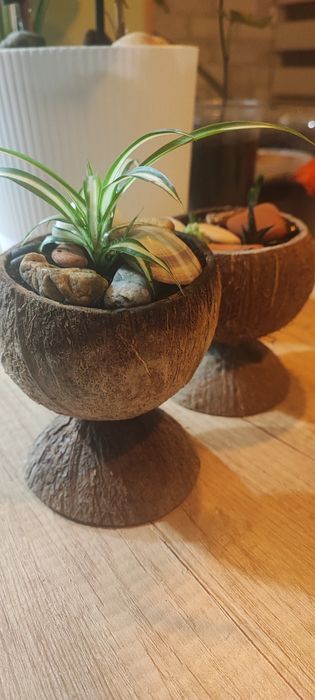 Квіткові композиції