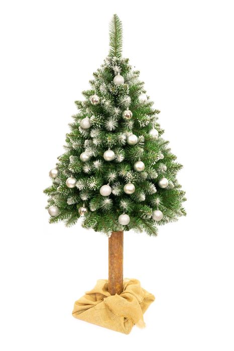 Choinka Sztuczna na pniu 180cm; Ośnieżona, Gęsta