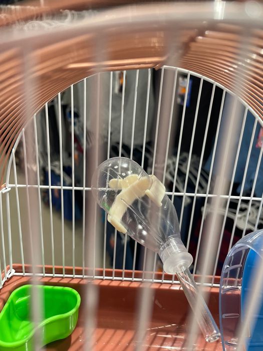 Gaiolas de hamster e acessórios