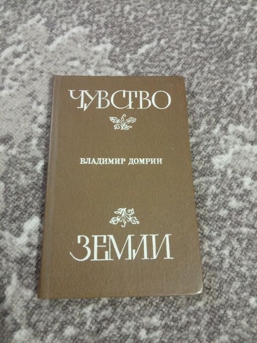 В. Домрин. Чувство Земли