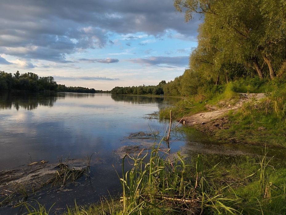 Оренда будиночка біля Десни с. Рожни!