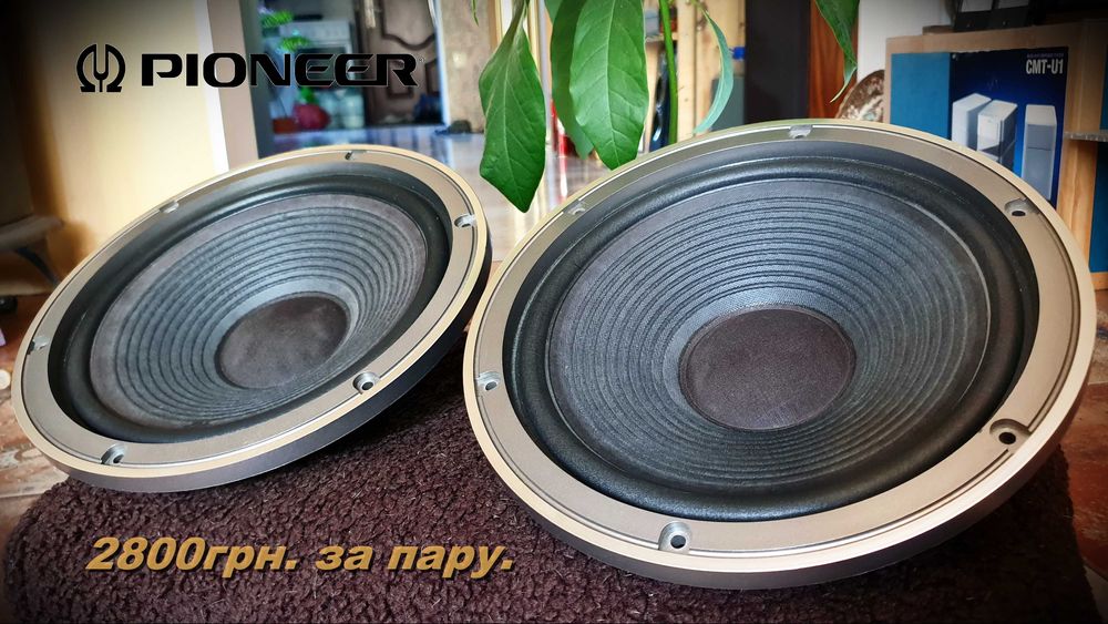 НЧ. Динамики Pioneer "10" 6 om. Акустика