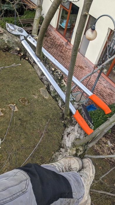 Обрізка плодових дерев саду, обрізка яблуні | Обрезка сада