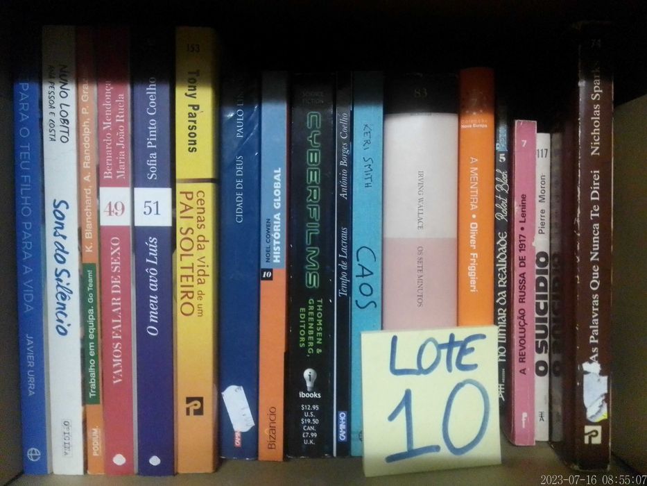 Lote 10 - LIVROS Diversos - Vendidos INDIVIDUALMENTE - Preços Variados