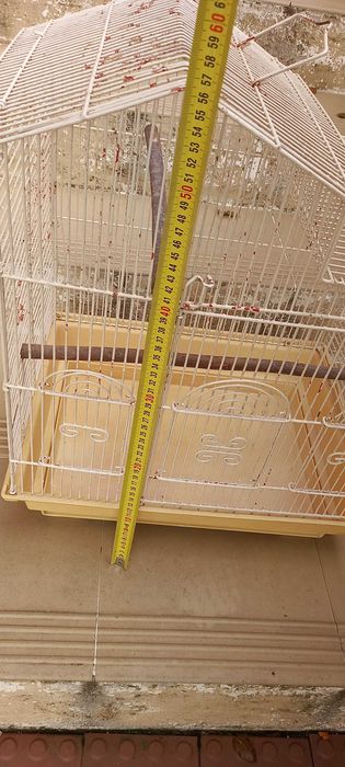 Gaiola clássica com pé