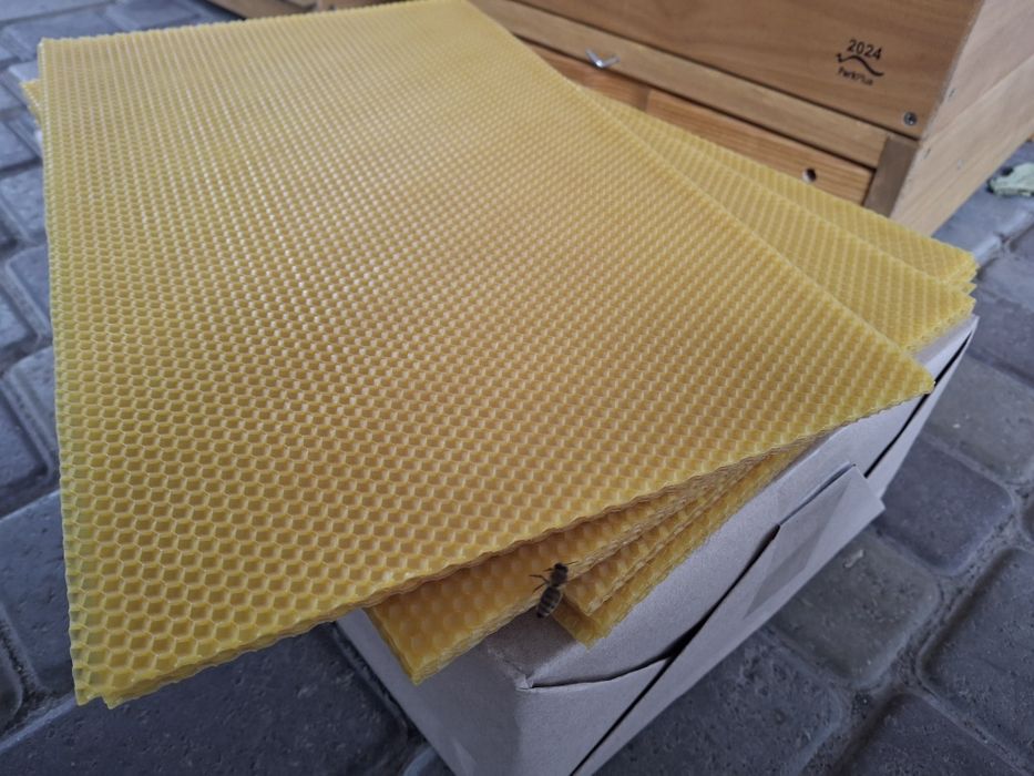 Вощина Дергачі АВВ-100 Дадан, Рута, Полурамка, 5кг - ОРИГІНАЛ!