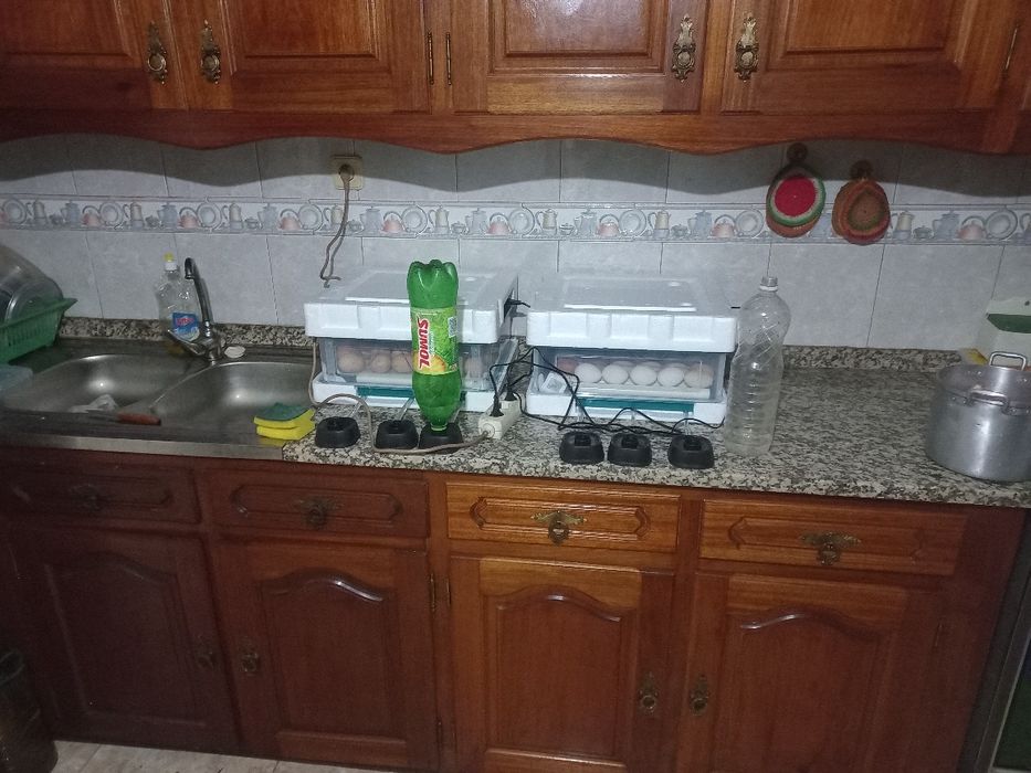 Chocadeira automática