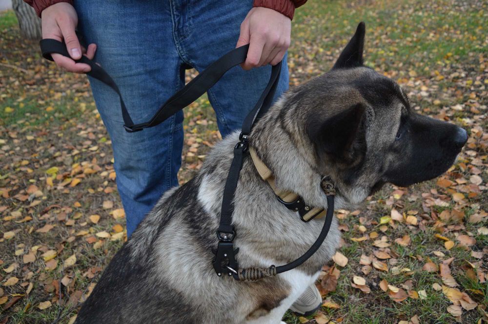 Новинка! Нашийник контролер для собак 10мм | Dogspotter Gen.II