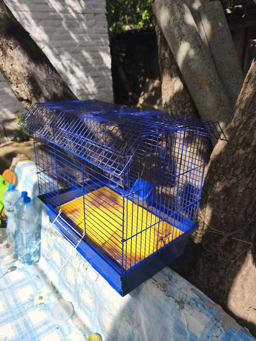 Продам велику клітку для кролика чи морської свинки