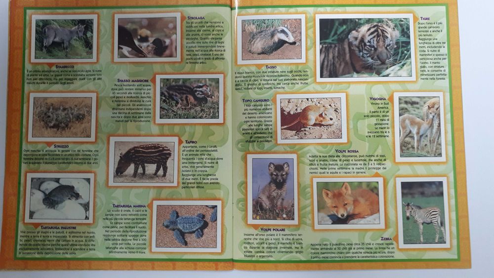 Caderneta de cromos Í Cuccíolí completa