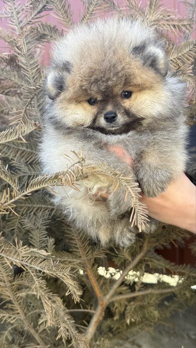 Мішка малюк чекає на вас