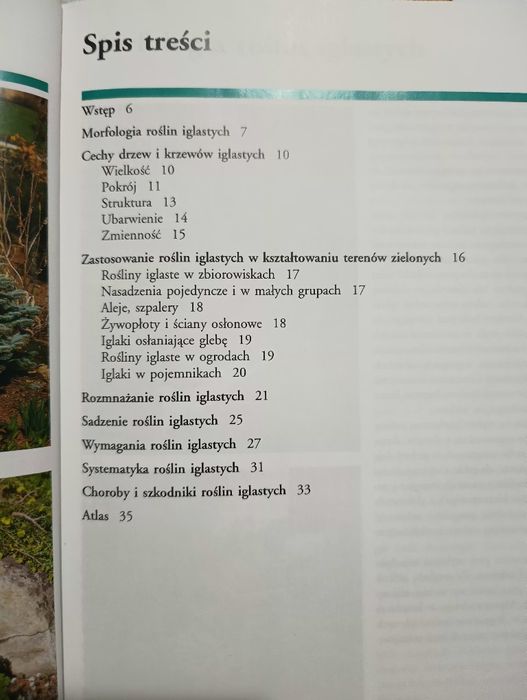 Iglaki leksykon -piekne zdjęcia