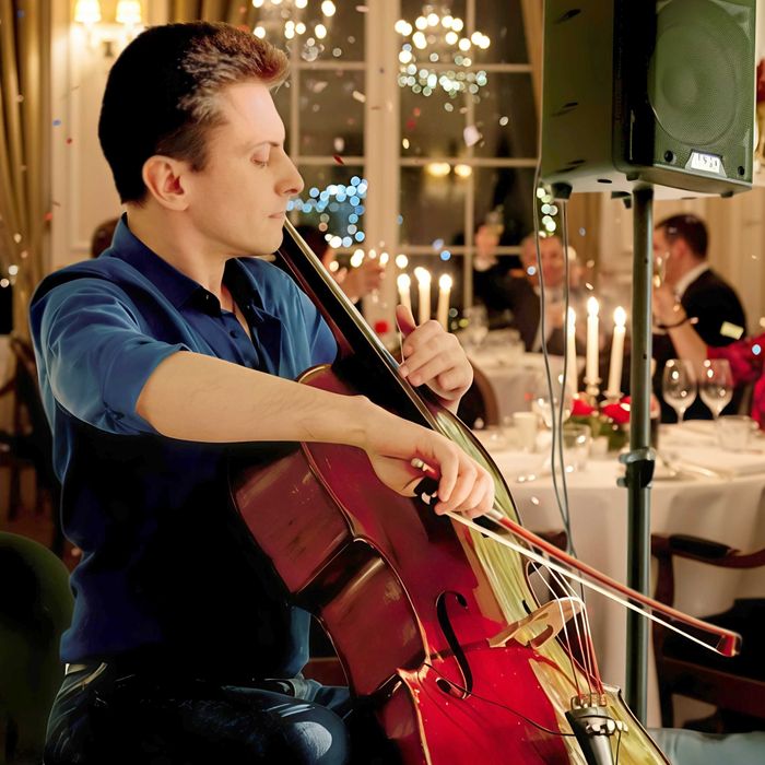 Музикант • жива музика • на Весілля, Ювілей, ДН, скрипач, виолончелист