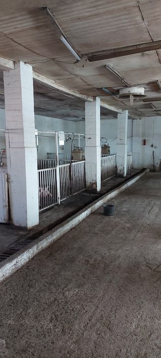 Продам ферму хозяйство ранчо