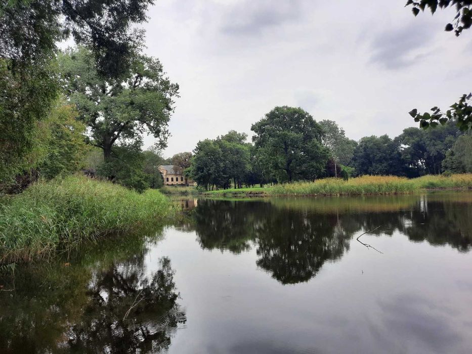 dwór dworek park Popowo Kościelne gm.Mieścisko 5,03ha jeziorko wyspa sad