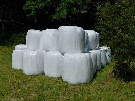 Sianokisionka belach bele siano kiszonki koniczyny 140/130 po 1000kg bale