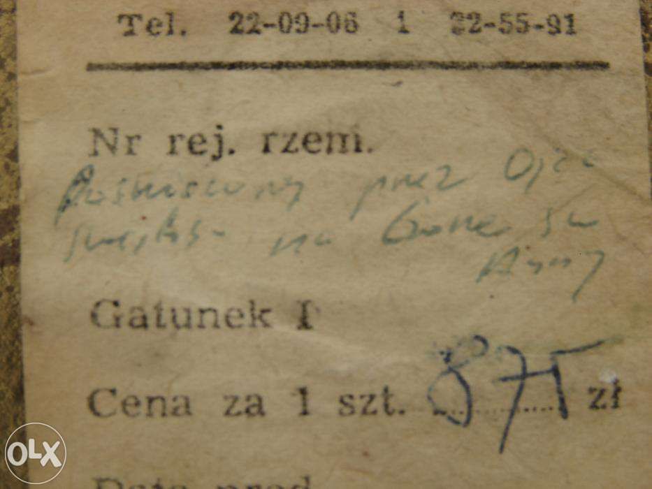 RYNGRAF Matki Boskiej poświęcony przez PAPIEŻA na Górze Św. Anny