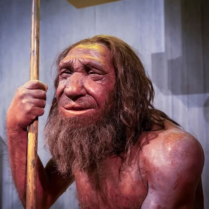 Opróżnianie sprzątanie piwnic garaży strychów mieszkań