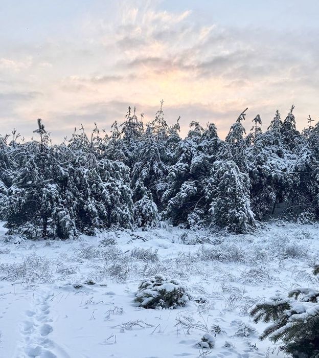 Земельна ділянка 23 га! Лишня !