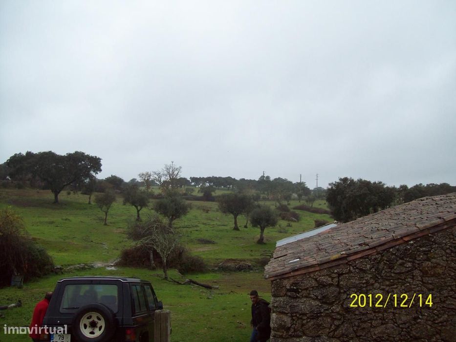Herdade do Monte da Pedra.