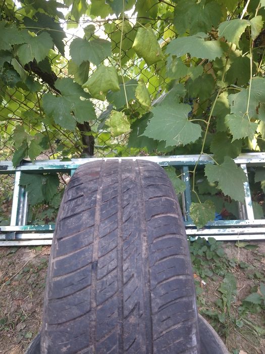 Колеса Barum 185 60 r14