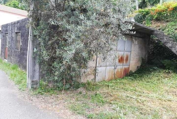 Terreno com árvores de fruto e oliveiras e ...