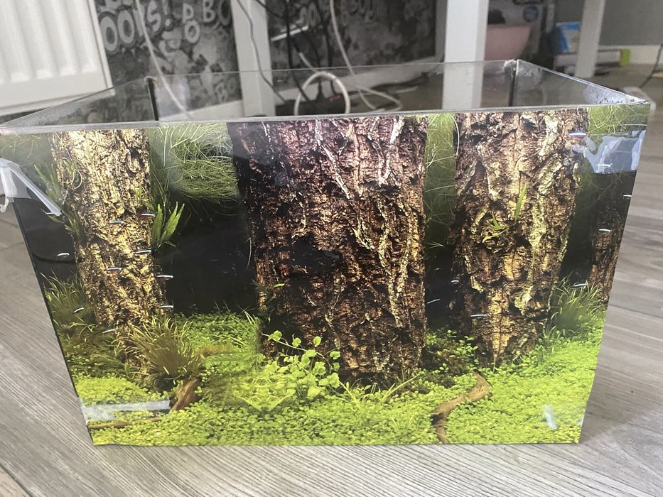 Akwarium z tłem 12l