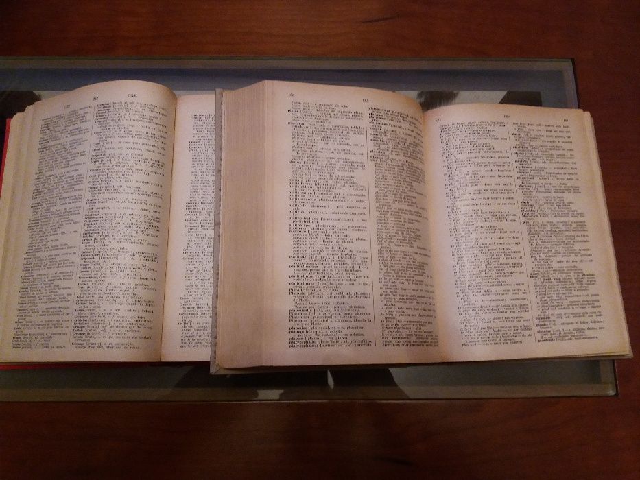 Dicionários Inglês-Português/Francês-Português