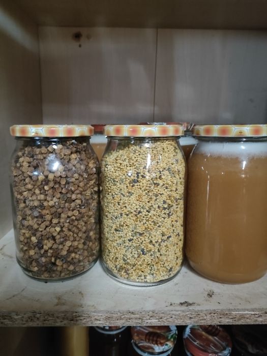 Miód Pierzga Pyłek z własnej pasieki