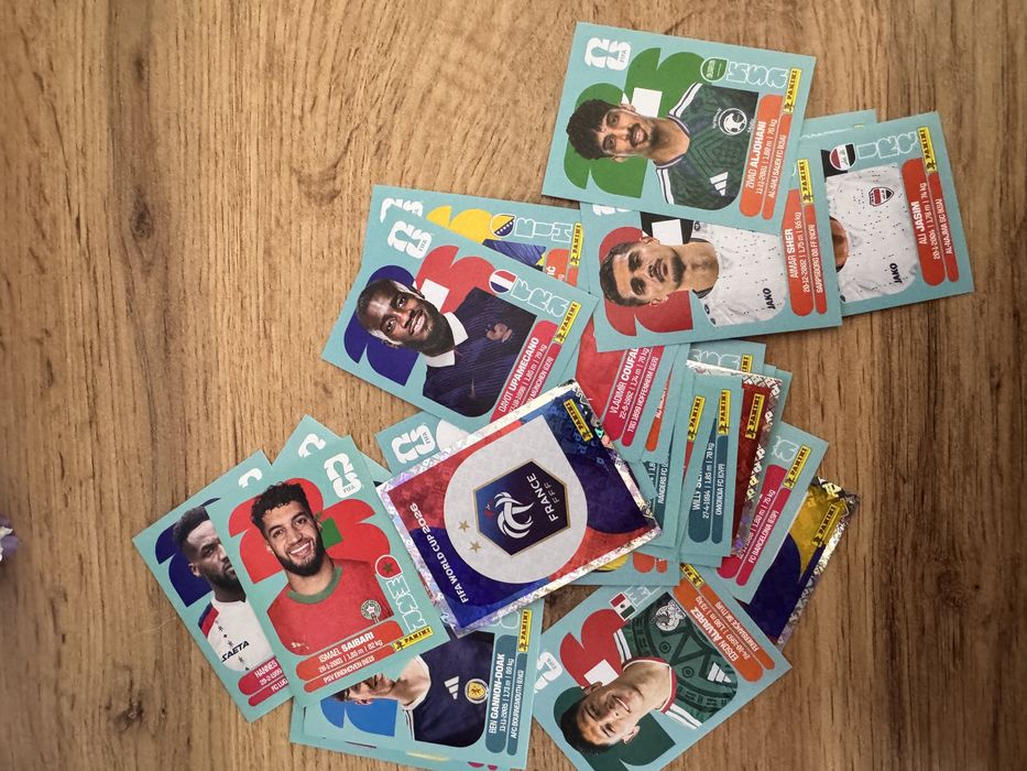 Panini world cup 2026