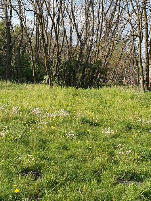 Sprzedam działkę 68 a, Krągola gm. Stare Miasto