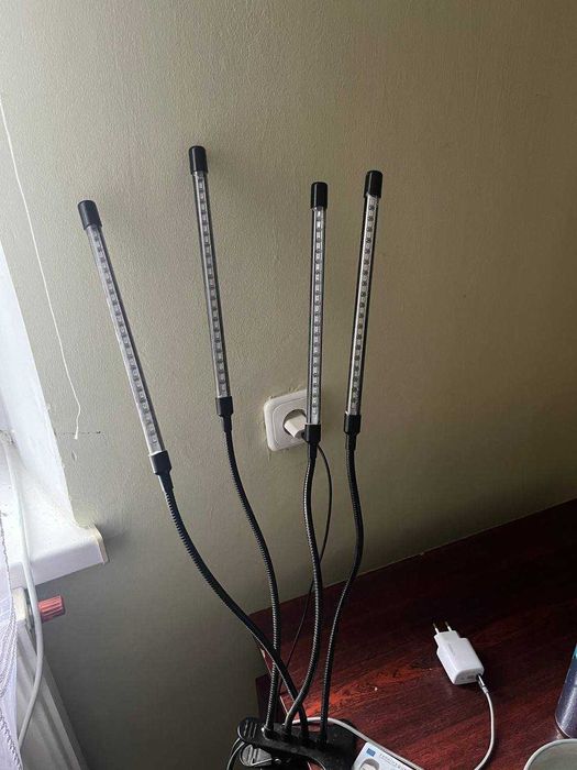 Фіто лампа на 4 рослини