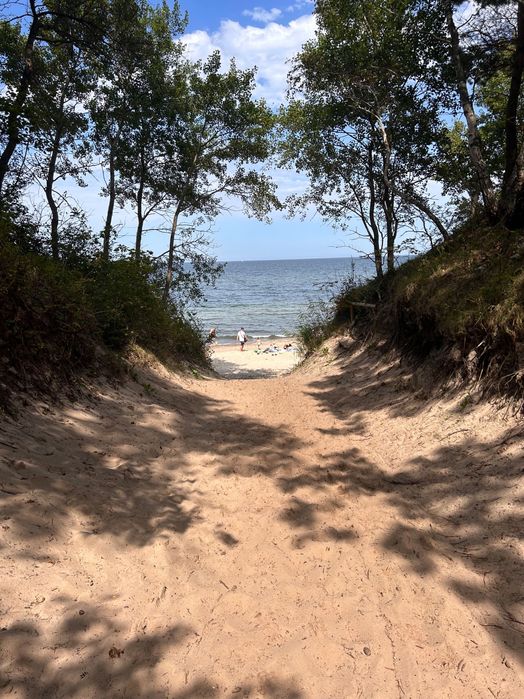 Sprzedam atrakcyjną działkę obok lasu w Dziwnówku