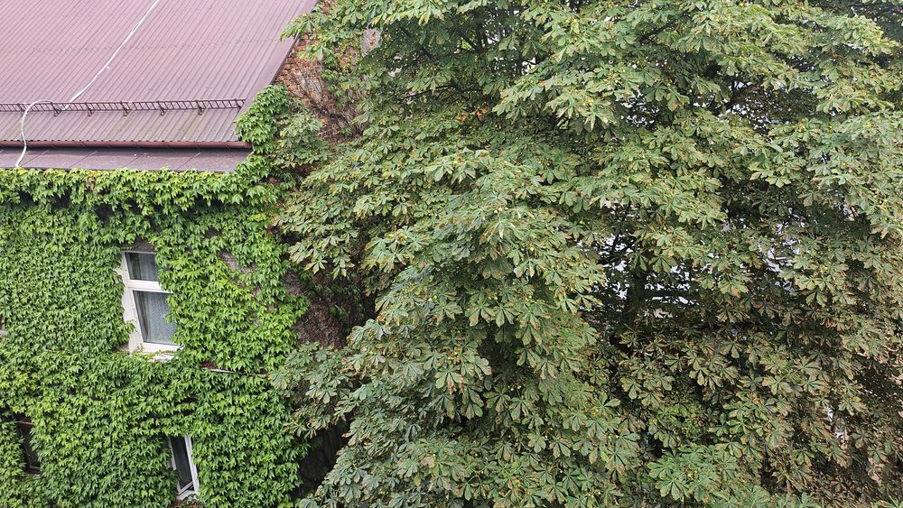 Kawalerka w samym centrum Krakowa wynajmie właściciel. - Widok 4