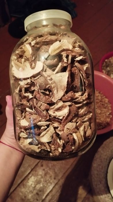 Продам гриби білі сміжо морожені та сухі
