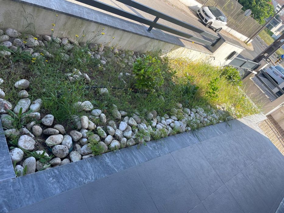 Jardinagem e limpezas e limpezas de terrenos