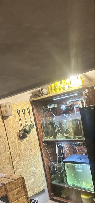 Regał akwarystyczny wraz z osprzętem