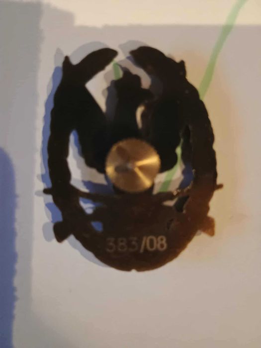 Odznaczenia wzorowy żołnierz + buńczuk sił zbrojnych