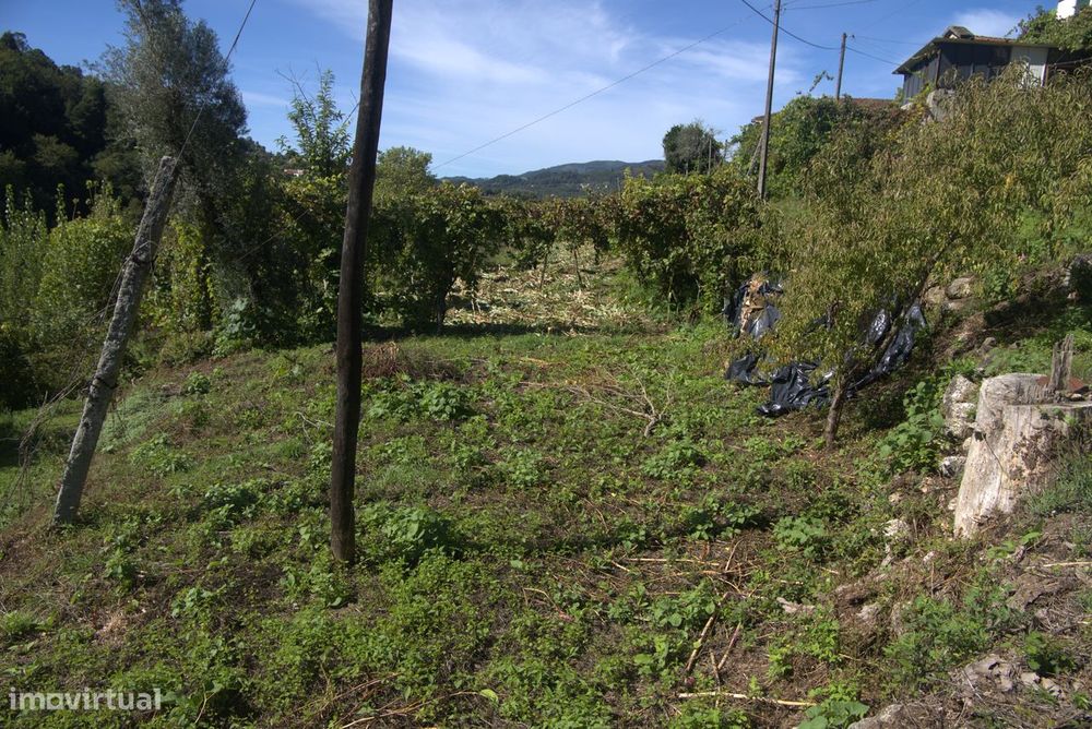 Moradia de Pedra com Terreno – Chamoim, Terras de Bouro