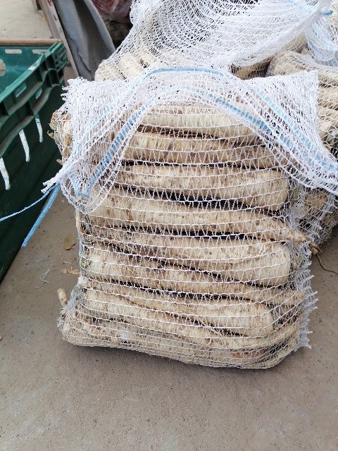 Pietruszka worek 5 kilo cena 15 zł prosto od rolnika