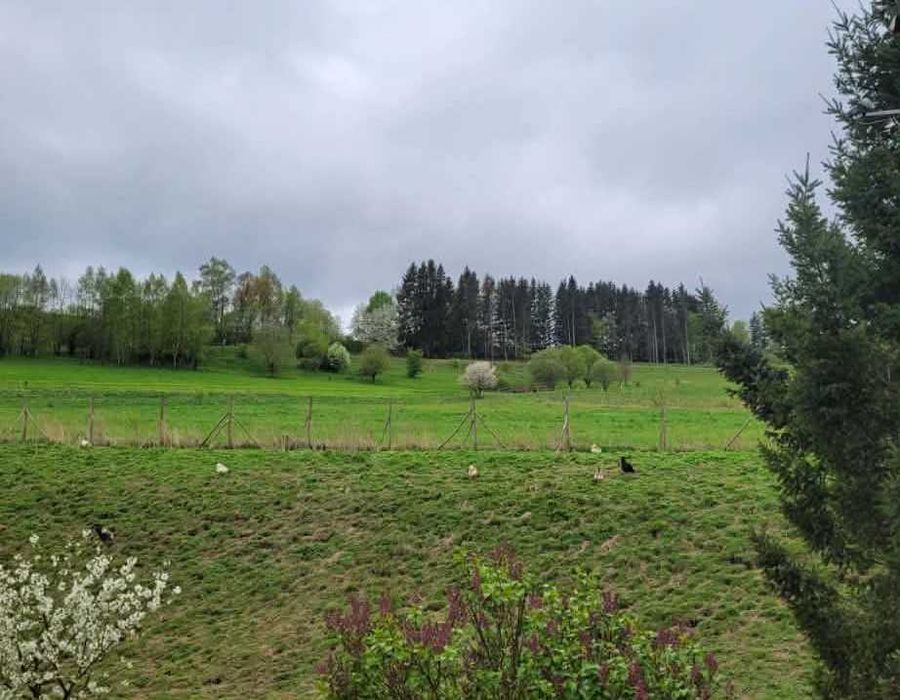 Działka budowlana - Szczytna