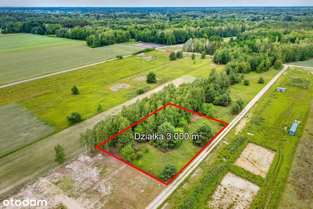 Działka 3000 m² z potencjałem inwestycyjnym – Bory