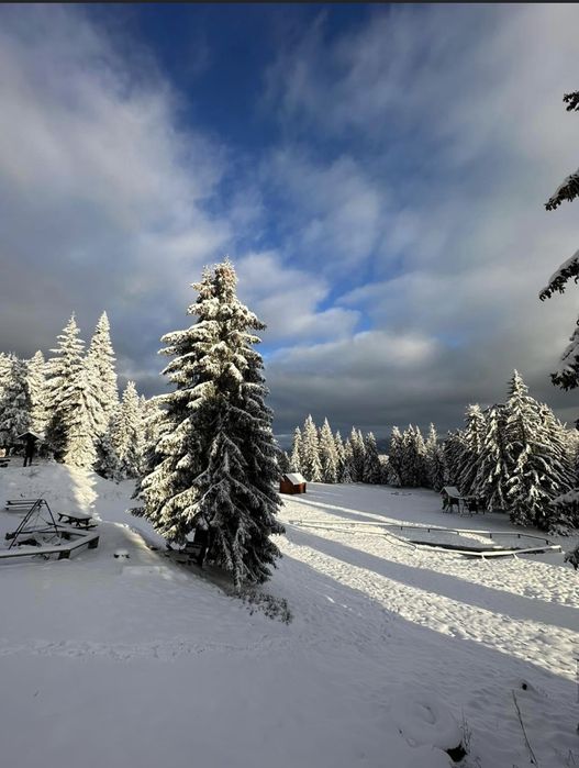 Noclegi Domek w górach Korbielów/Krzyżowa blisko Słowacja tanio