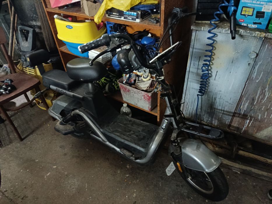 Продам фаду рітмо 2023