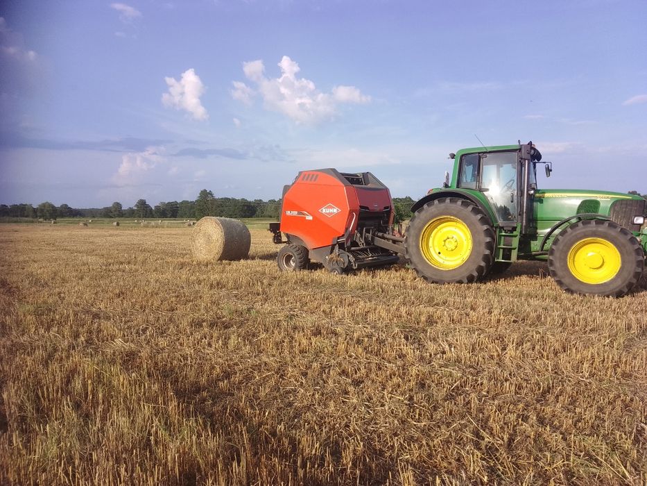 Siano bele 130-140cm