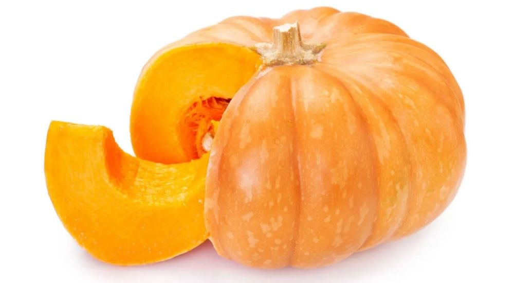 Хмелевые шишки хмель солод